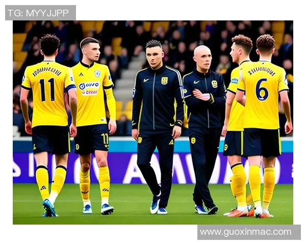 2017年阿尔梅勒与特尔斯的精彩对决回顾与分析