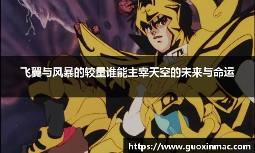 飞翼与风暴的较量谁能主宰天空的未来与命运